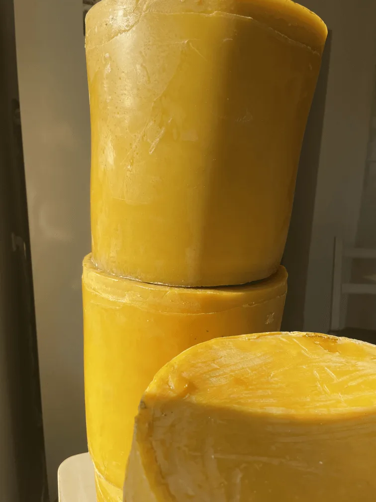 Chunks of beeswax